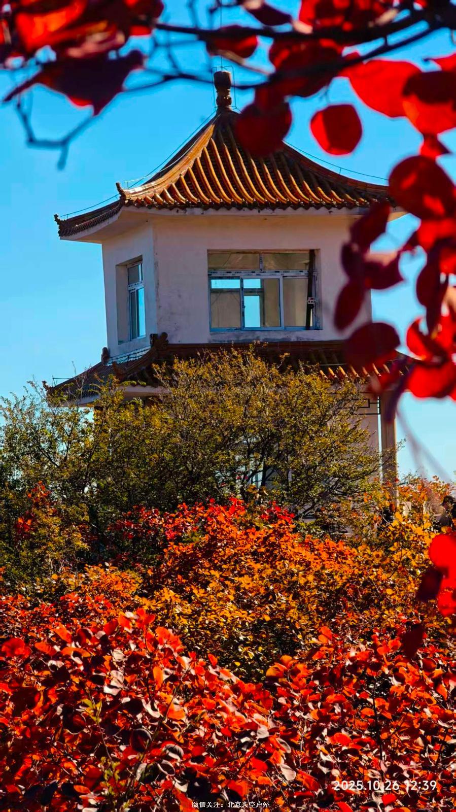 593098A2-9AEE-4CAE-925B-13FCE6999854