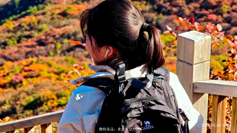 777C898B-546F-4221-9342-E15199299E06