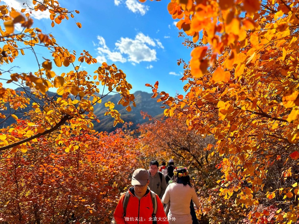 47BCB9F3-34A0-441C-BCA4-8E0635C1FC35