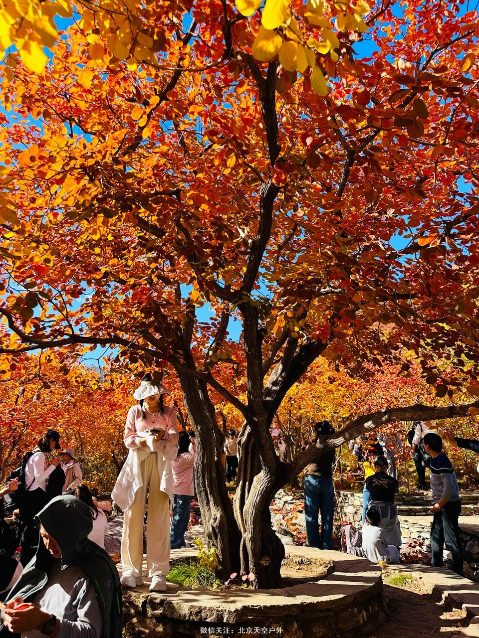 BAF808CB-0463-4425-AAEA-2112744B0DF1