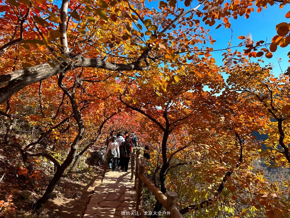 283718A8-B2C8-4009-AA62-AED6D5A11703