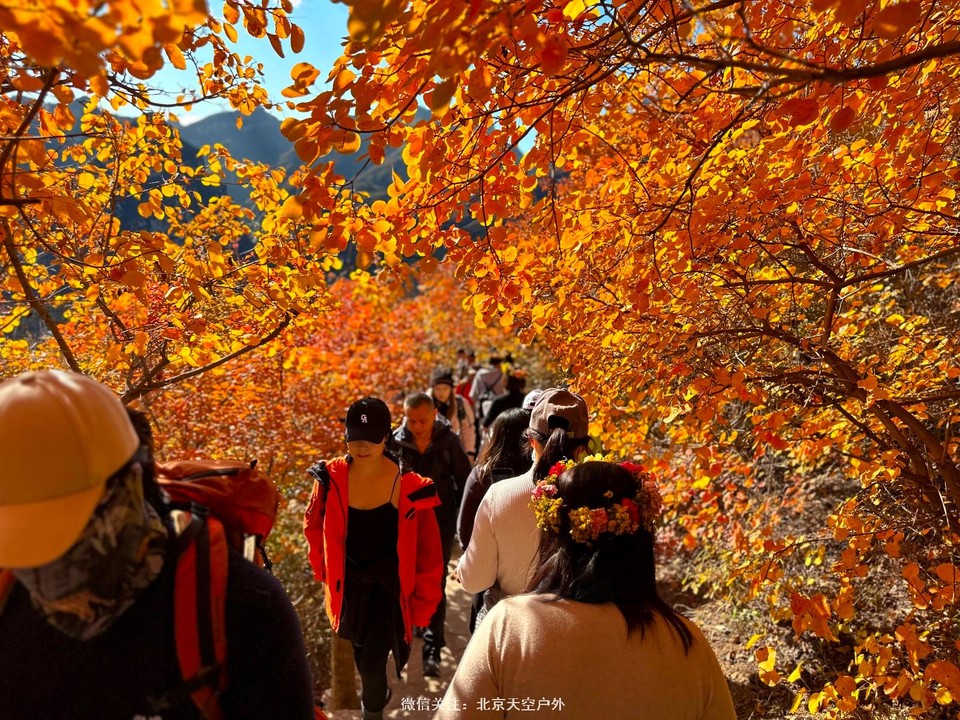 F6F3BE38-86D7-4FA8-9007-5B419E5EF615