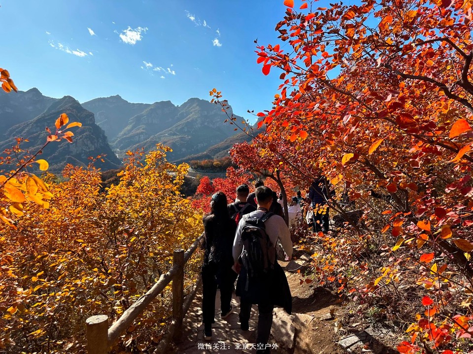 7F5B3E33-0BA8-4285-BDFC-5BD9E3B4929C