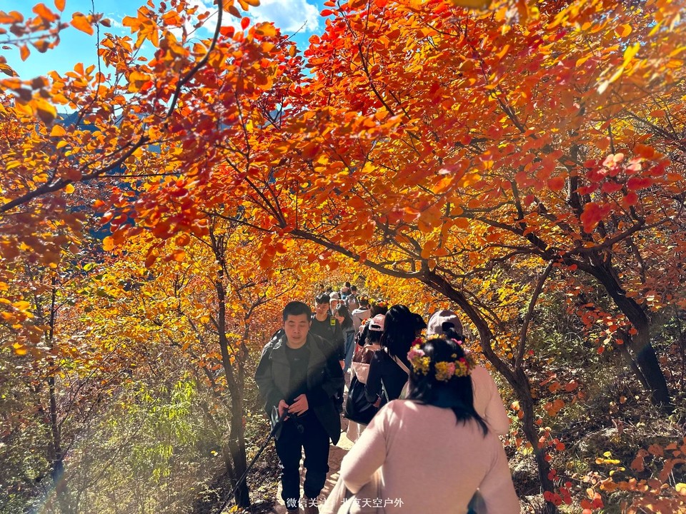 7460CFCF-CB42-4149-BE39-93123F5AC807