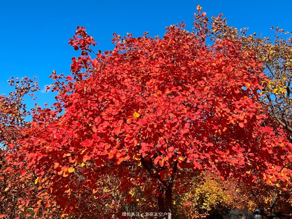 9A57D9FA-7380-4A3E-9768-50AA0287BAAD