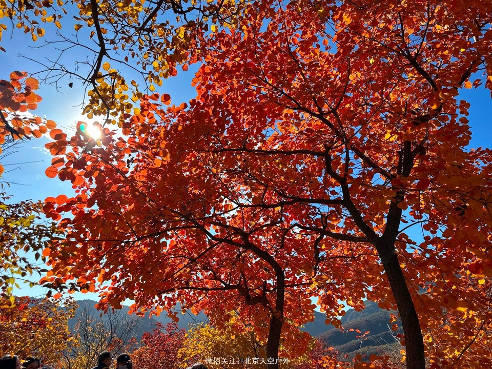 3657350E-3580-433A-95C0-318D86361E40