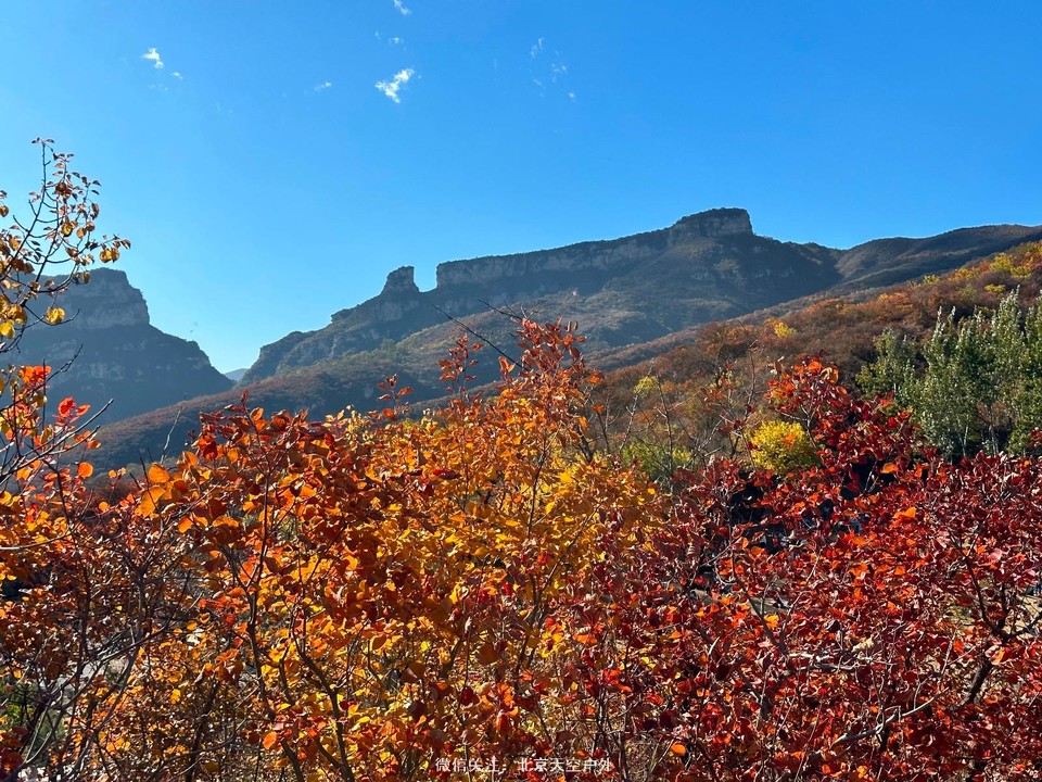 0991E708-BCF9-495A-901B-7363337BBA8B