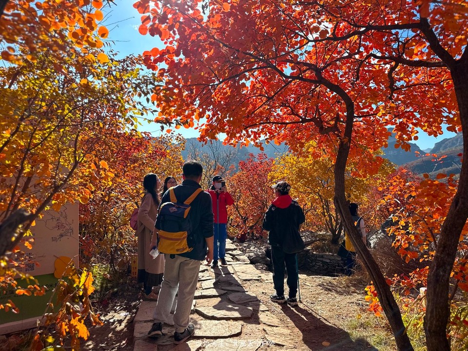 3940A09E-A4BB-4537-A656-3BC00661EF1B