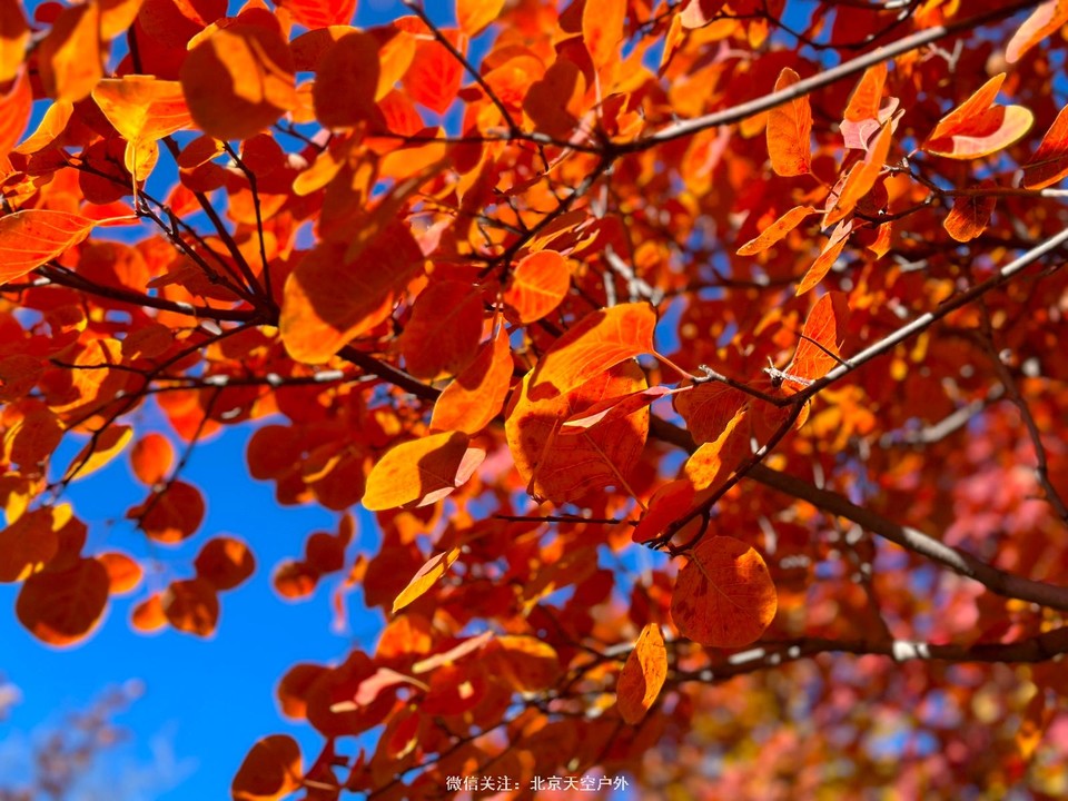 91556C7B-7DA2-4E0A-9188-9322042DC08E