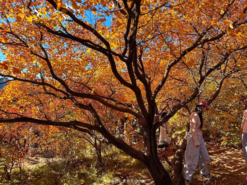 75F8E182-BF23-4F4B-B4E5-142FCAA0D417