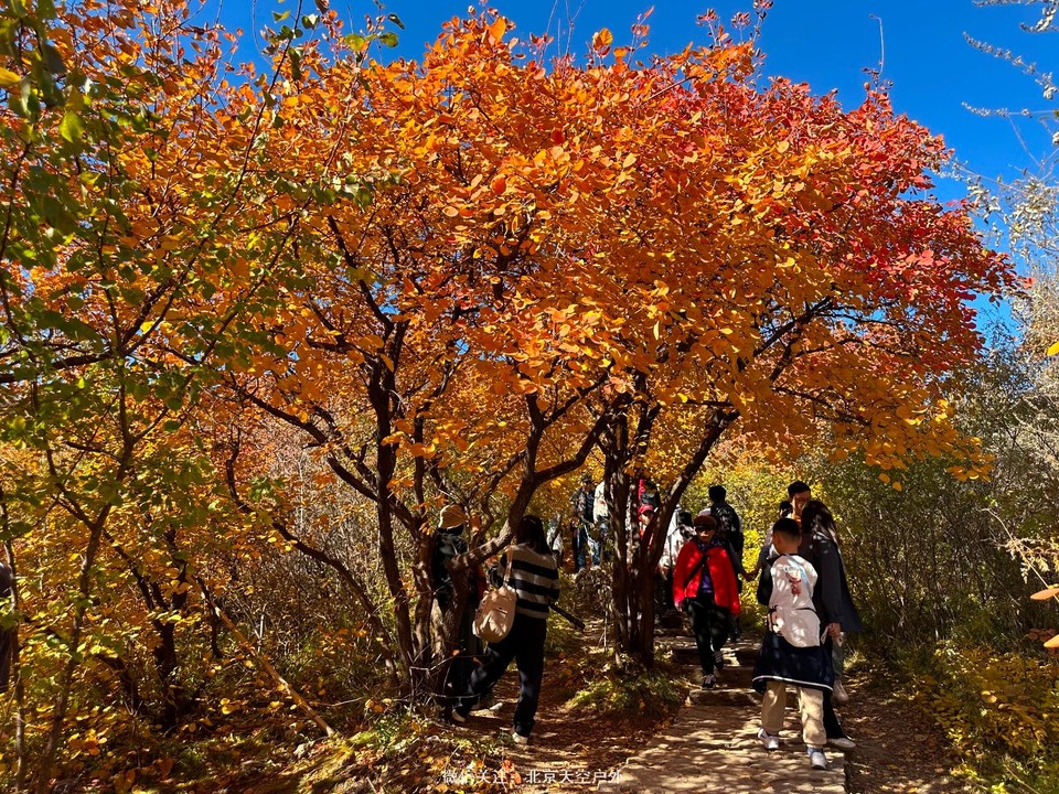 868A018F-3E42-4E0A-9F41-13F802960A11