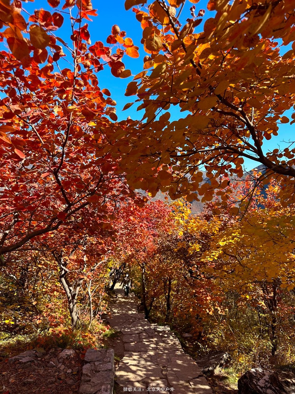 5F171D16-C949-40A7-A37E-230922D62D4D