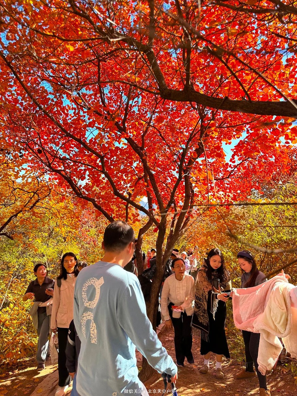 BB95ED15-6775-4211-8E62-4D71BB662B69