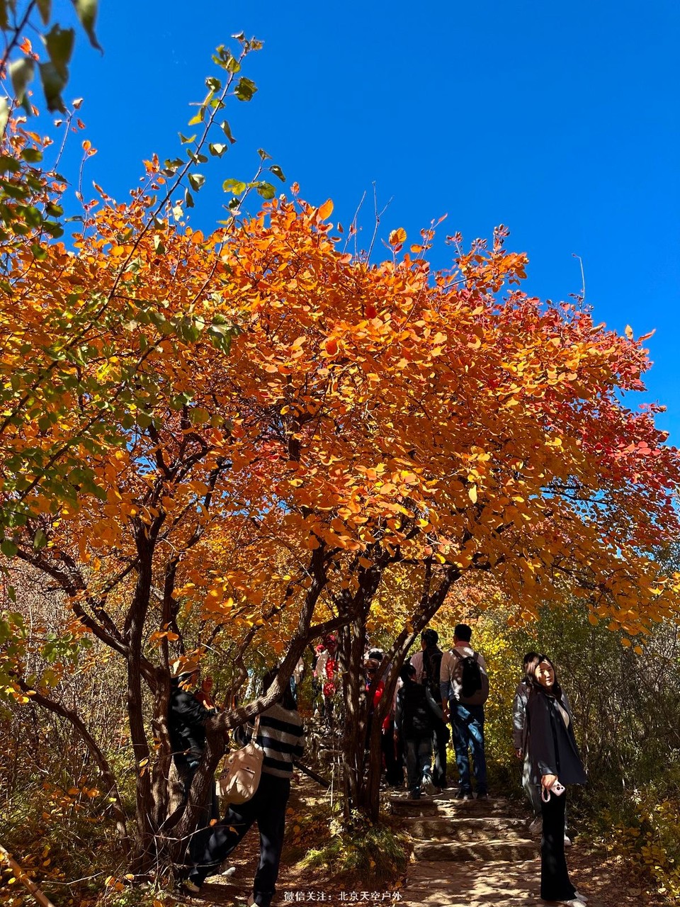 28E338DD-E62D-4A66-8CA1-40290542B0EF