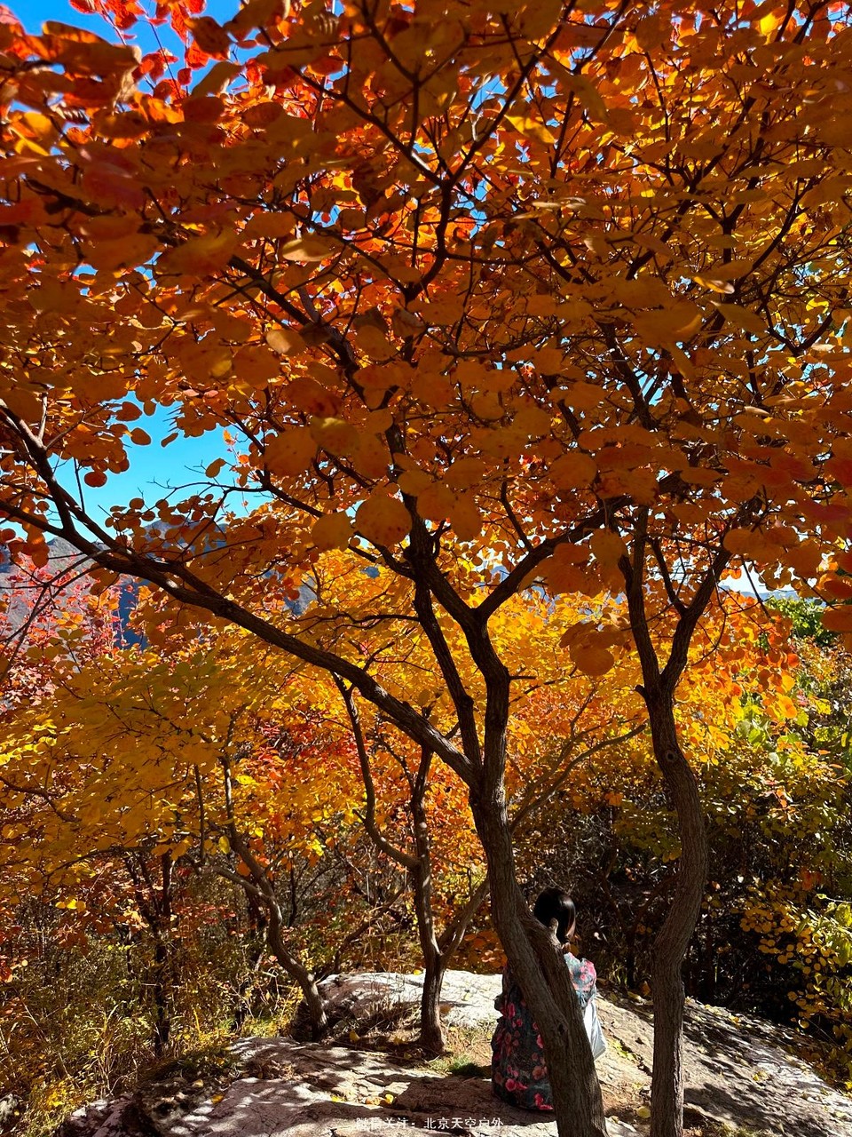 E06E6B0A-B4C2-4C5E-8752-A3DD0002A1D6