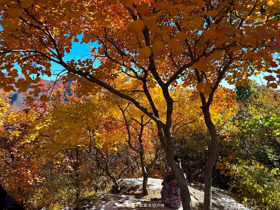 D74C3C56-DE7B-4A28-8166-C58B9F8638CB