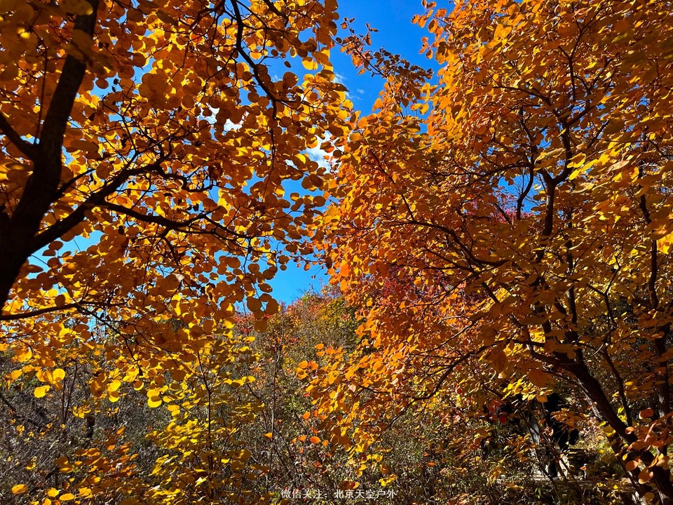 1C6A866F-ED4E-4981-88A0-1DA1ABA4DB09