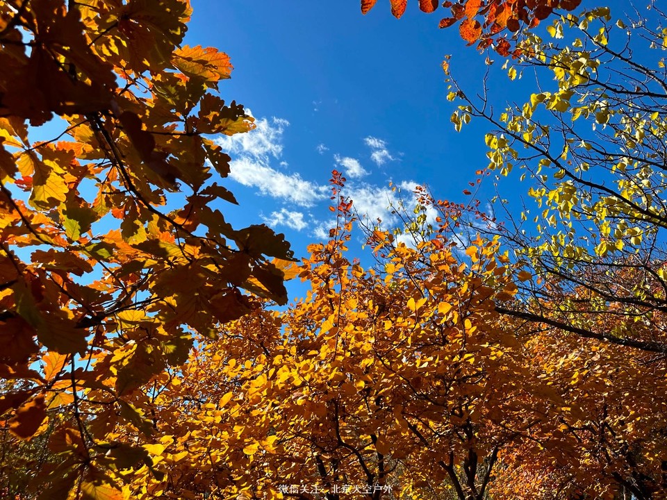 19535E6F-A896-4057-BD13-F94DF1FD0C3D