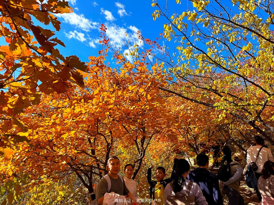 9AB1BA2E-E1F2-45F7-BCF7-959A4A16189A