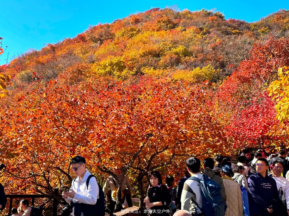 6533FEE4-F79C-42B6-BA7E-405373C17335