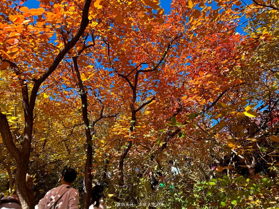 C22C2F4A-51FA-41E3-A25A-C0B7E54E6C2D