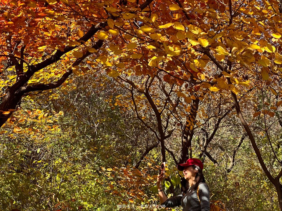 4F2C7E60-C9DA-49FA-BACB-F3C67ABBF8B4