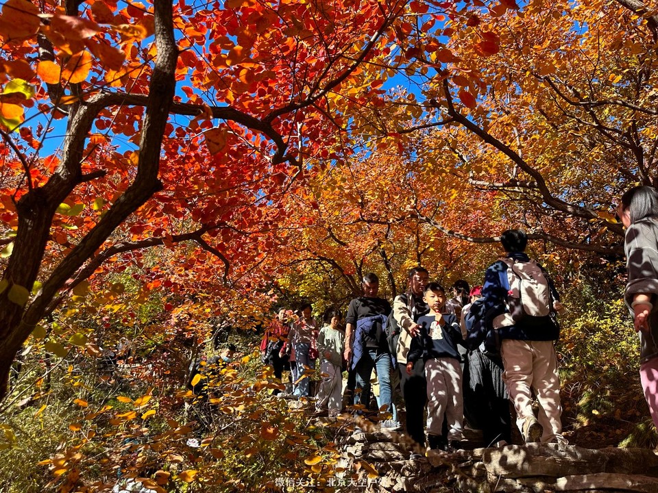 D251415F-3226-4277-ADDF-3DB961B872A0