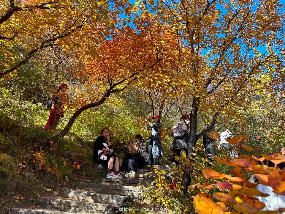 AA7DD185-DA8A-42A8-9D24-A816A74354B4