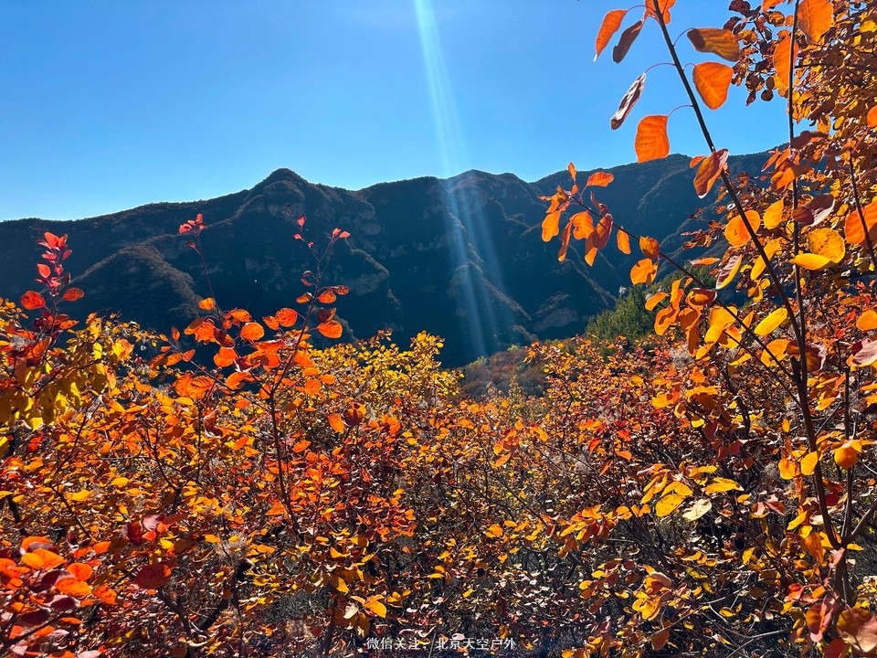 4C7F9C80-BC85-4FA3-871D-A83161C71881