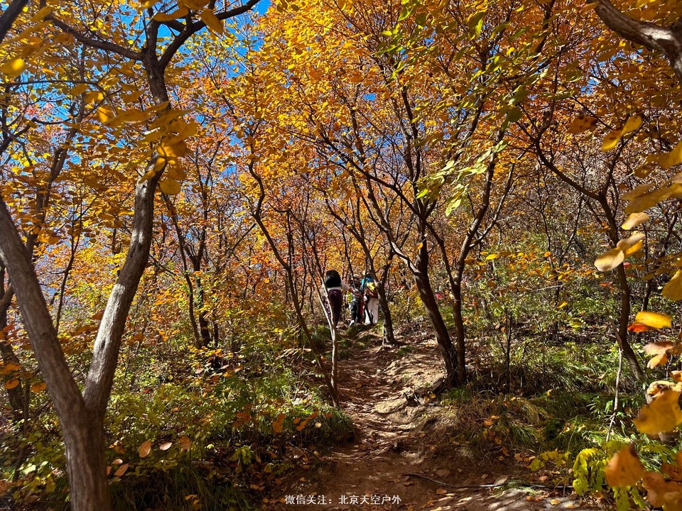 53FCDF7F-67AD-4C67-B13D-F6F638CE630B