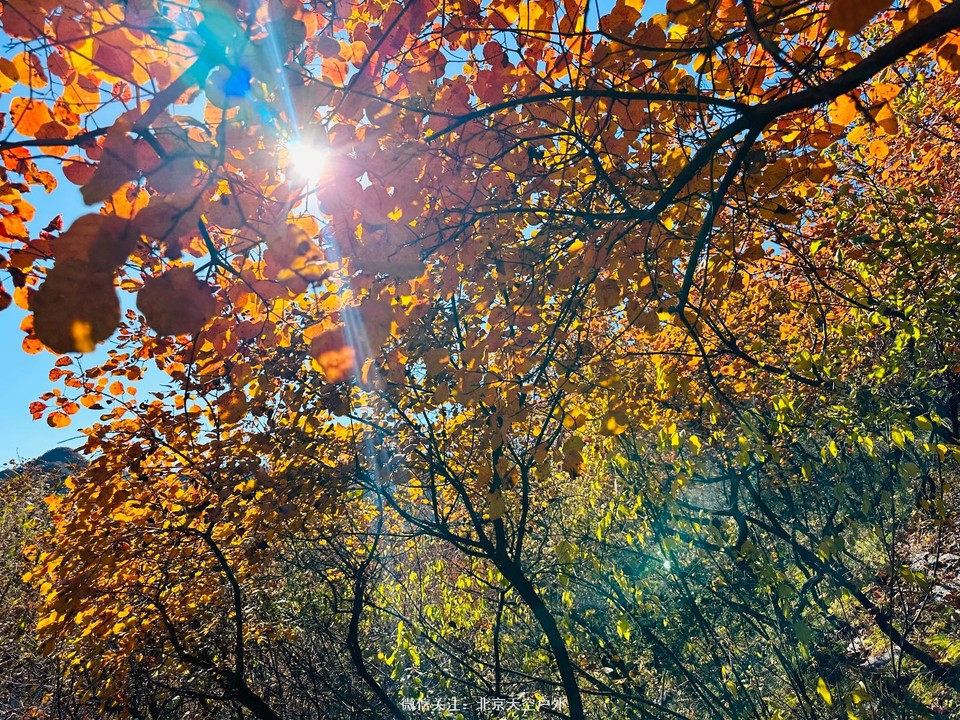 B61727E5-C091-4591-B2C8-77928CFB3B18