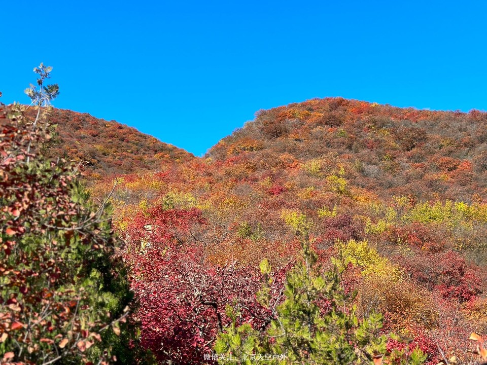 29ABEEC3-798D-4ED3-9F30-590EB43B3B20