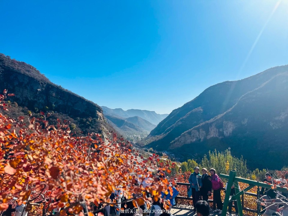 C8191846-3CF5-4A80-90DC-73FDB7D615EF