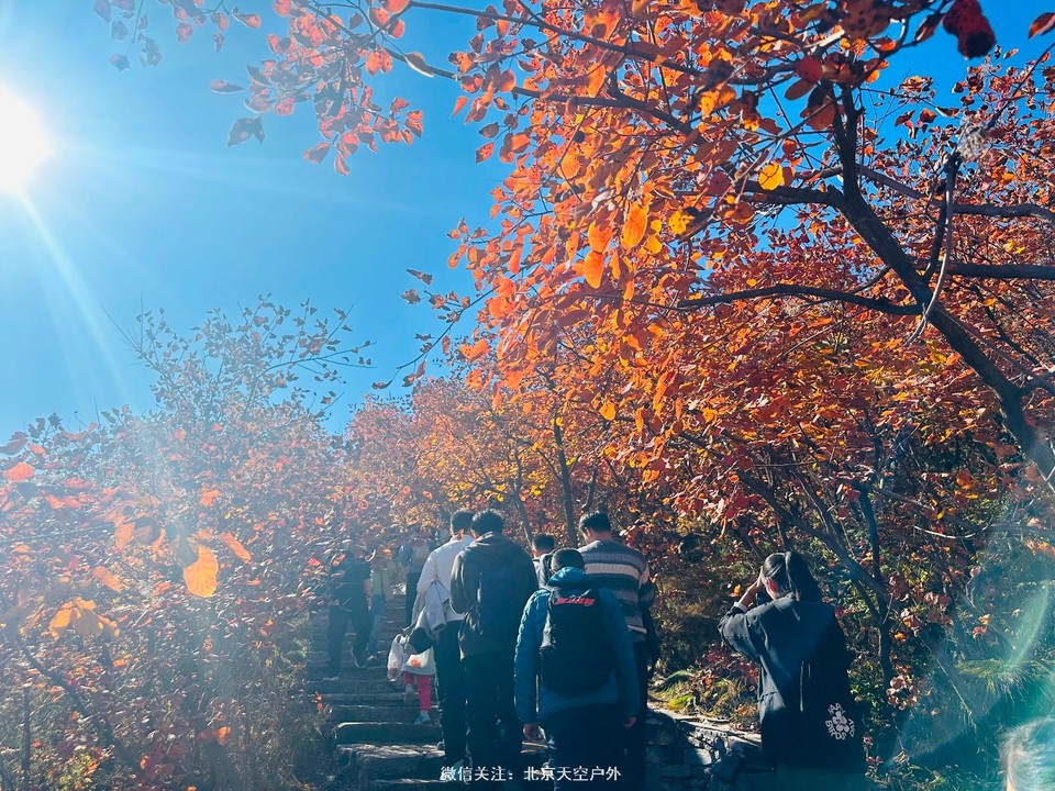 13286F9A-B67C-4FD6-8BB2-AFB212D51472