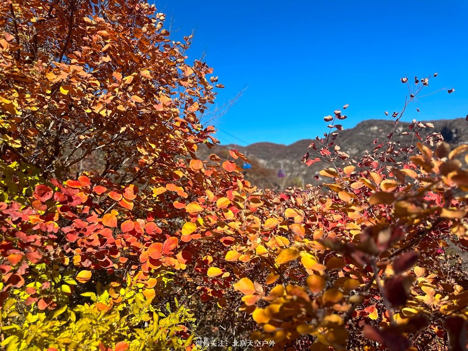 4B3F9828-FBA0-4507-BD1D-20A6B32E73D1