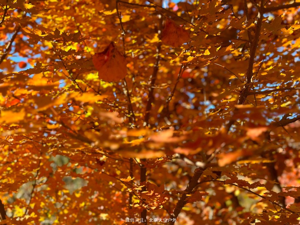 4C2DBE3B-D735-4E19-8B40-11A307B133BD