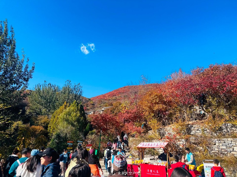 6B9D6283-C8FE-4937-A1A3-26876C31A6A9