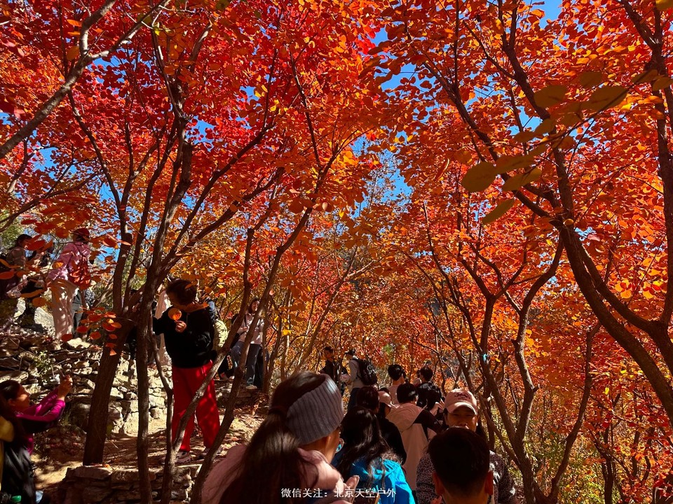 7291276B-68E3-46FD-A2B7-F943246FBFFB