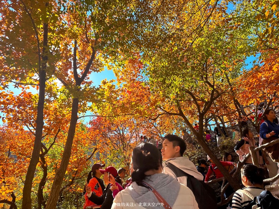 5076430C-33EB-434D-917D-2D8BE6C5101F