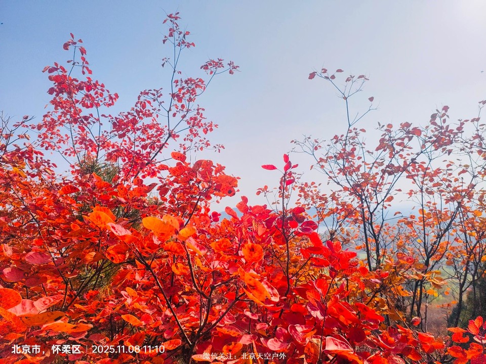 2791F68A-994E-4CE5-9F5F-EC1447BF0174