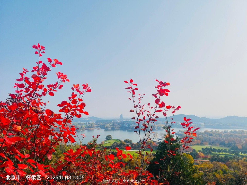 4A386D26-DEA9-45B6-9807-B4AA76A383FF