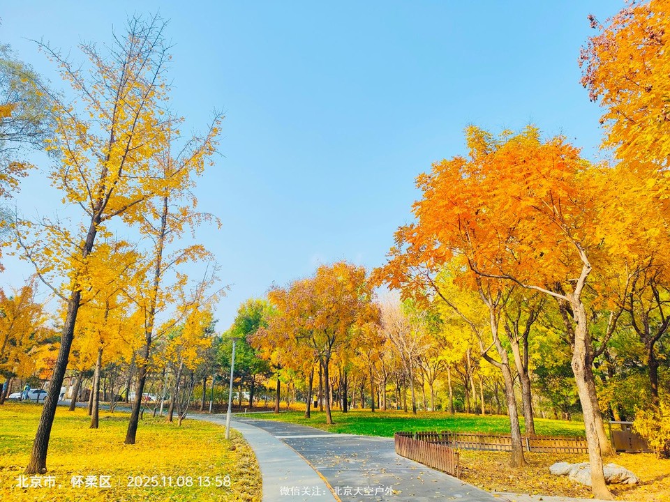 147EB416-CF96-496F-BF21-9DC1B1E69E4A