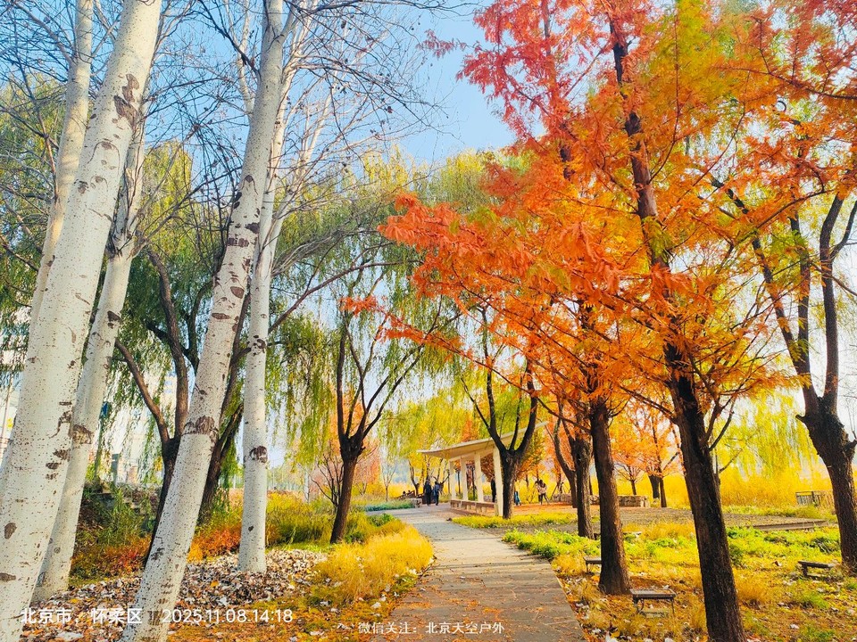 C96F16B2-8D9D-4727-A356-2FC7F9DD12CB