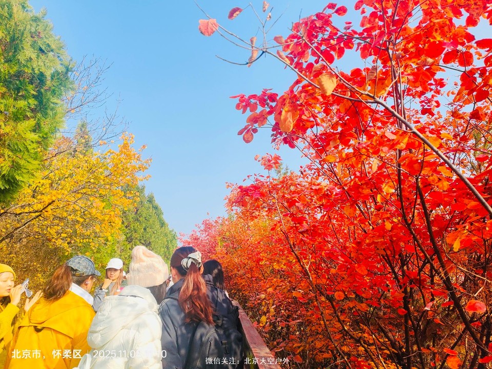 53E717BA-D181-47D3-8F6F-0B606A12B60D