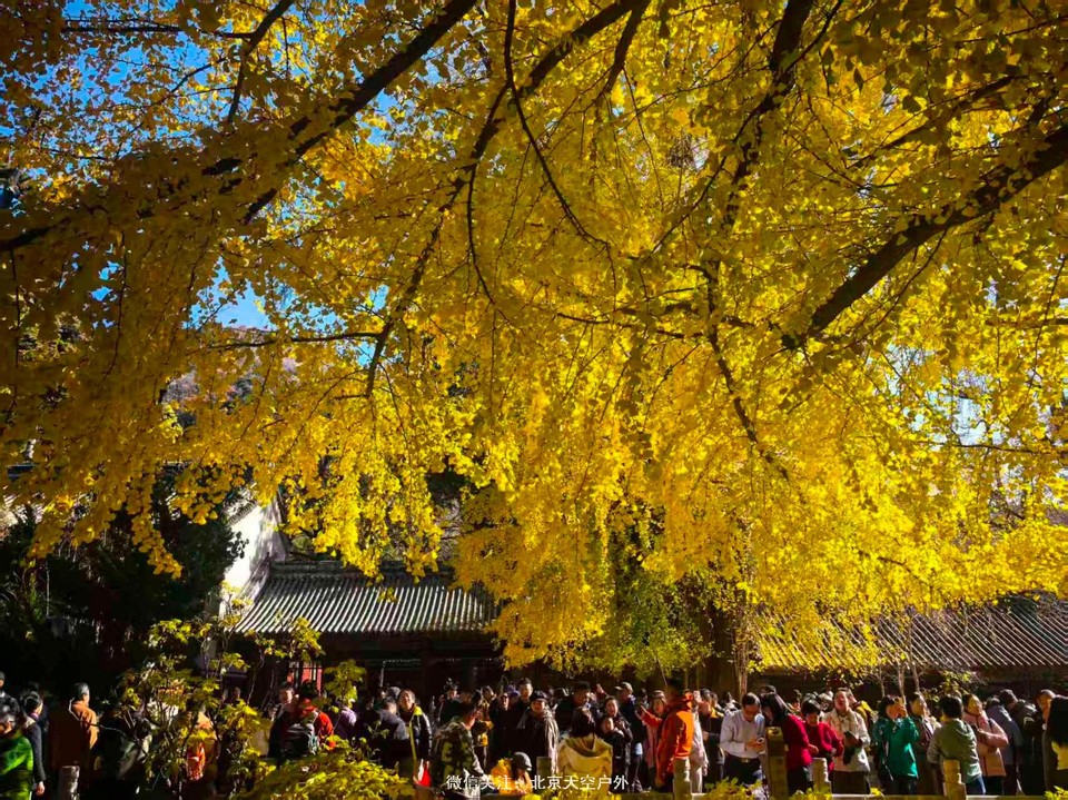 02034E0B-5A32-4C55-B28C-613588A721DF