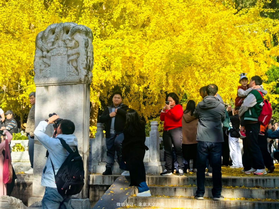 0666778D-8CDE-473E-A7B3-09C3CDA917DE