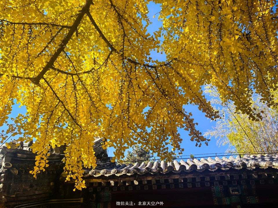 CB3E3E4B-3022-487B-981E-60690B0A51A1