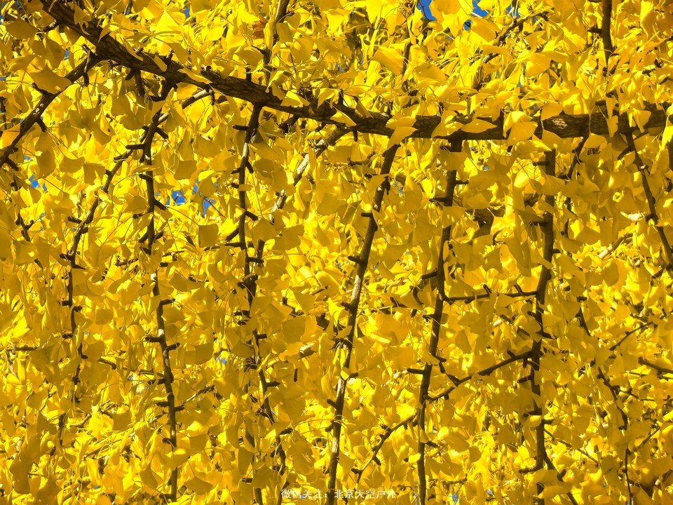 D8B1A056-71B8-4C43-B059-A58D02ED6BBC