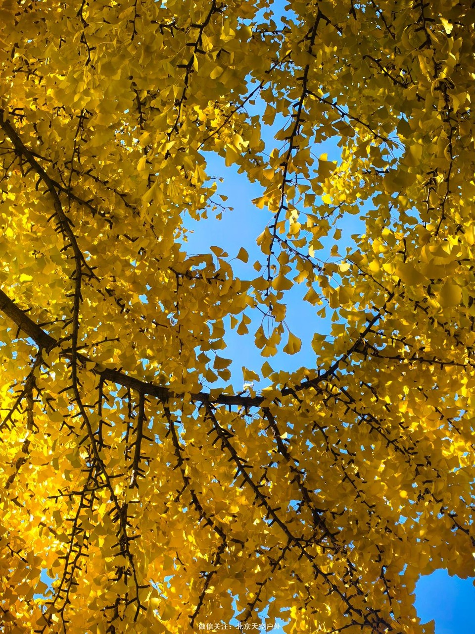 75D7CEA6-34DF-4042-8E59-C052177188C5