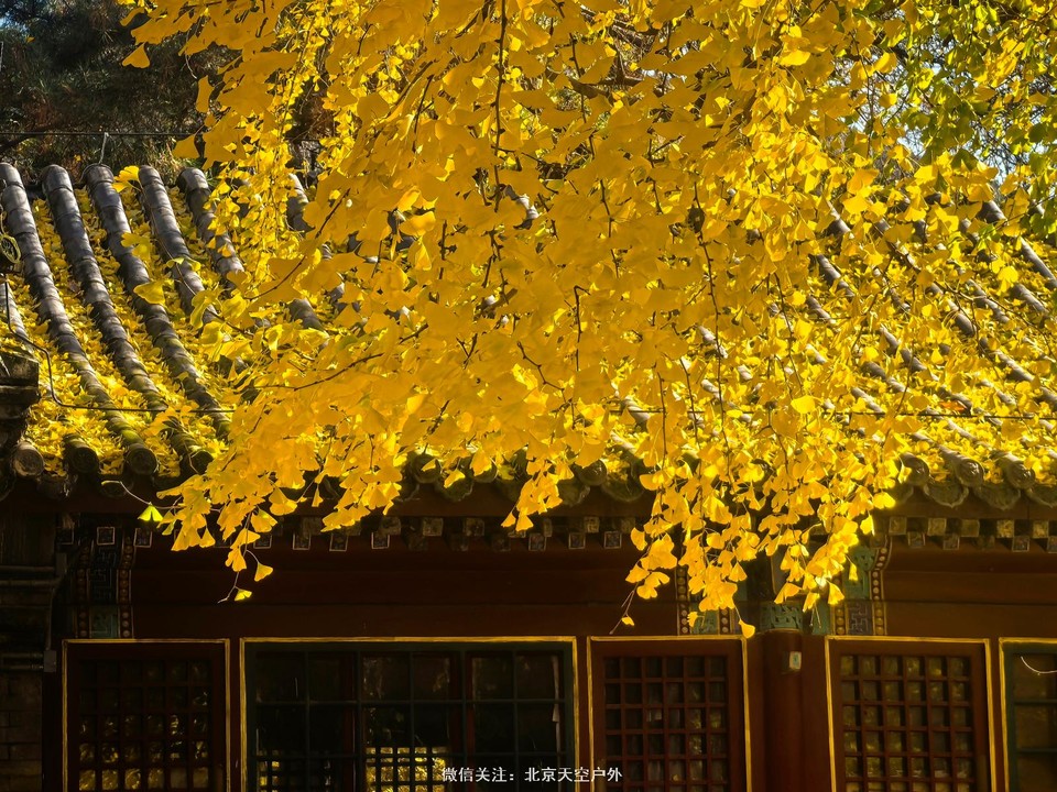 255592BD-BC60-431C-A1B0-6965E93F2158